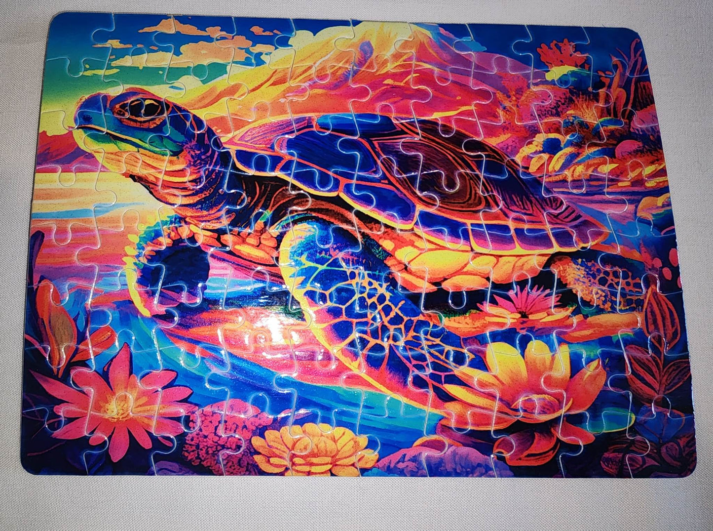 Sea Turtle Puzzle